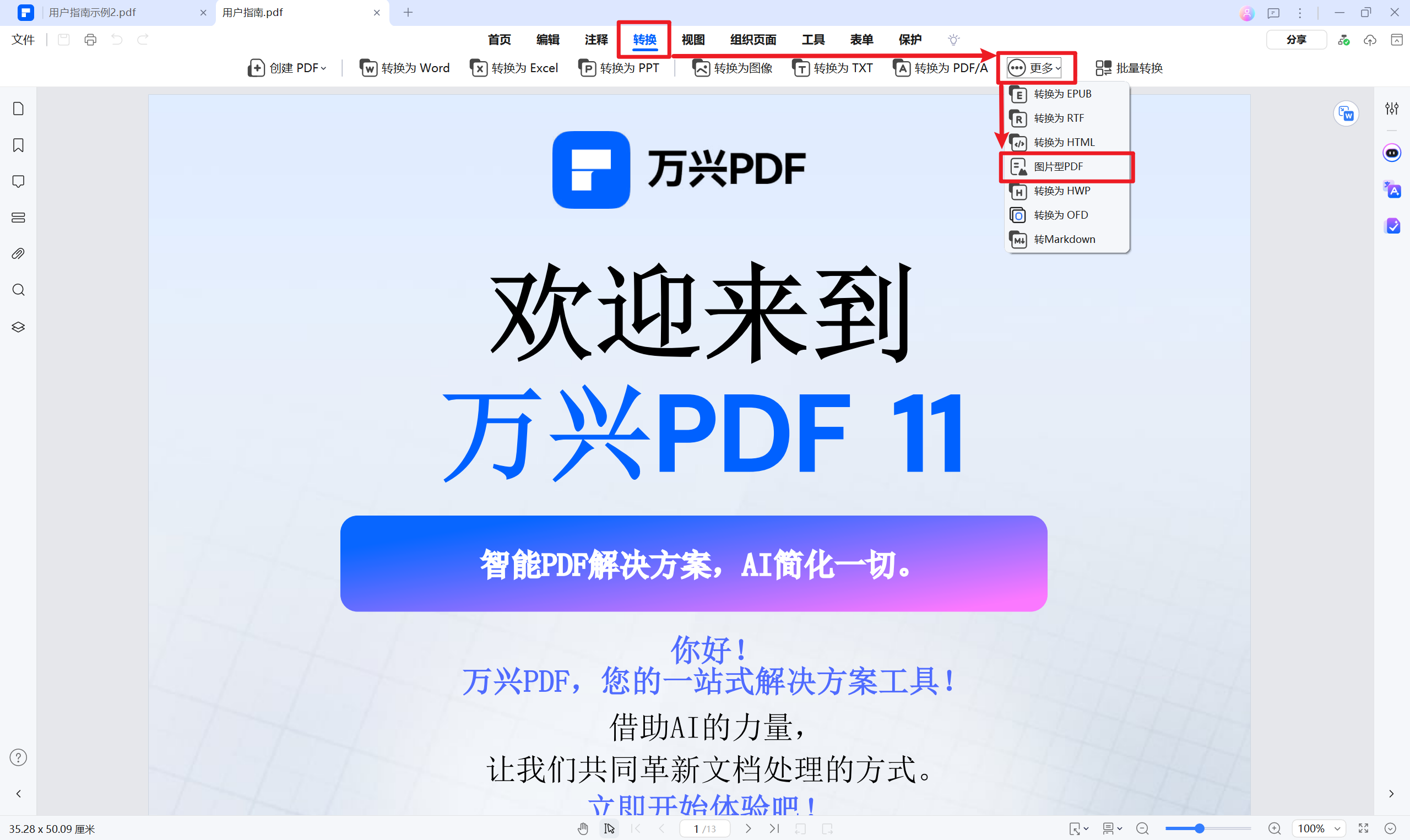 选择图片型PDF选项