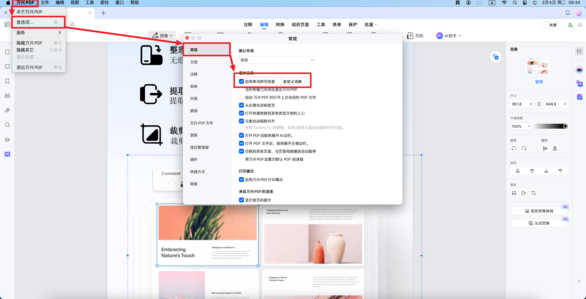启用拼写检查选项