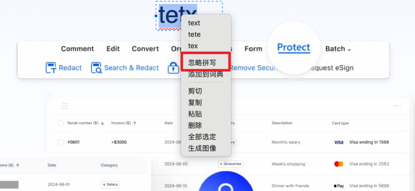 忽略拼写错误选项